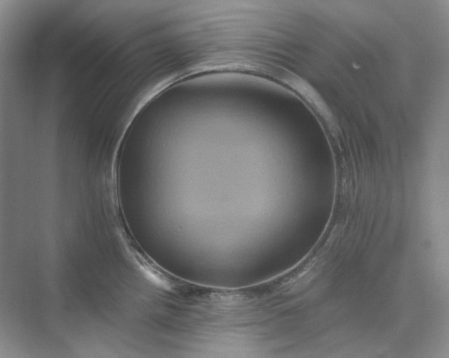 X0000075861242200609291540