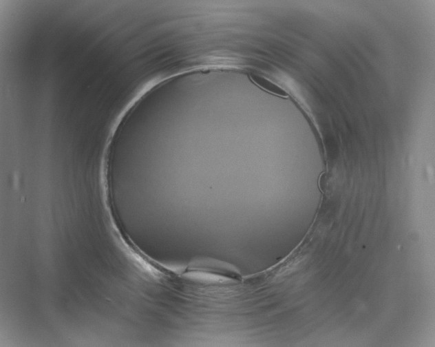 X0000075861243200609291540