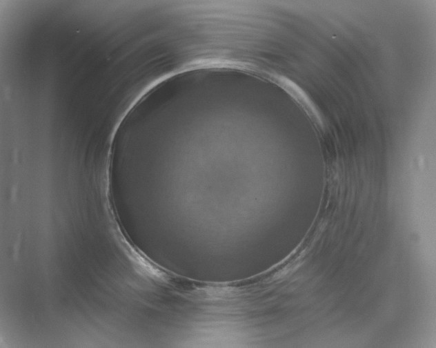 X0000075861244200609291540