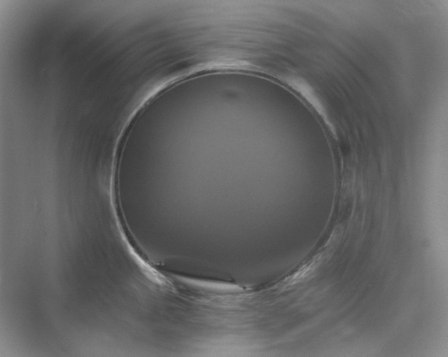 X0000075861245200609291540