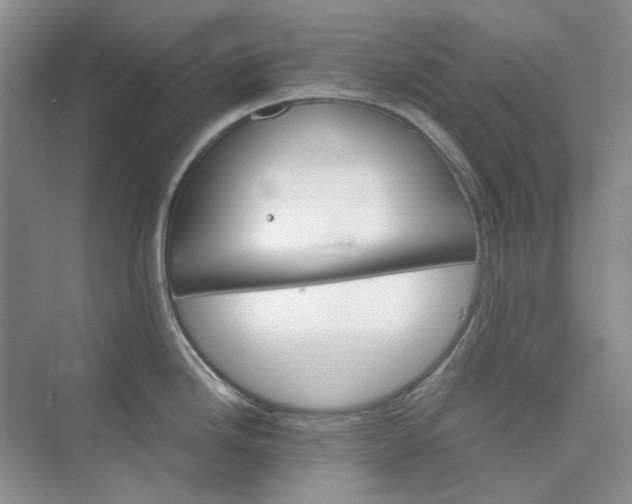 X0000075861246200609291540