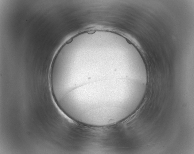 X0000075861247200609291540