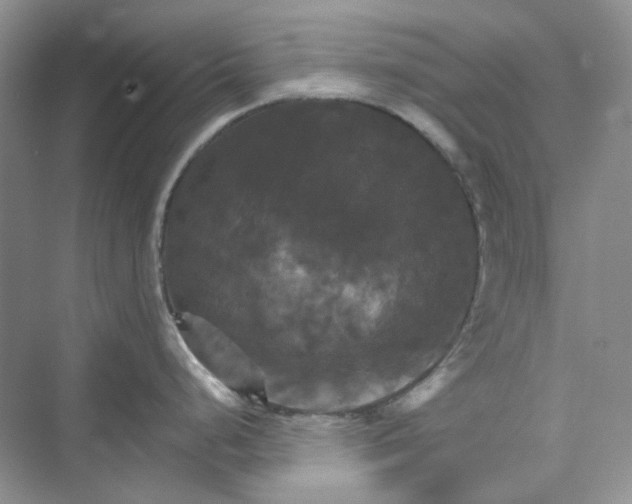 X0000075861248200609291540