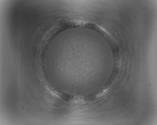 X0000075861249200609291539