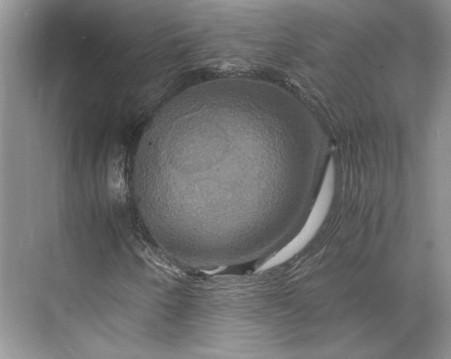 X0000075861250200609291539