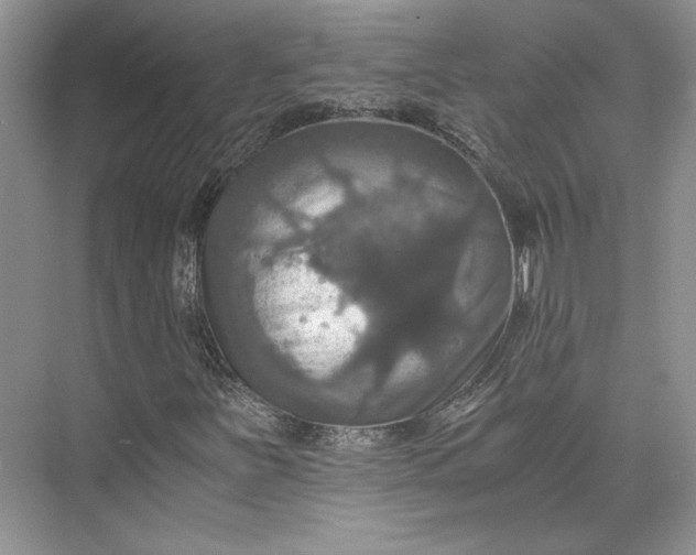 X0000075861251200609291539