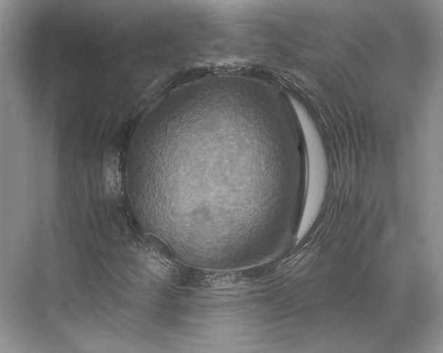 X0000075861252200609291539