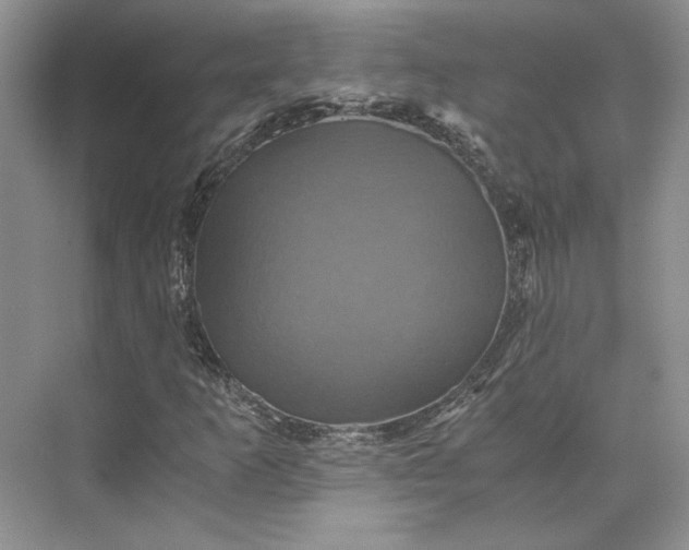 X0000075861253200609291539