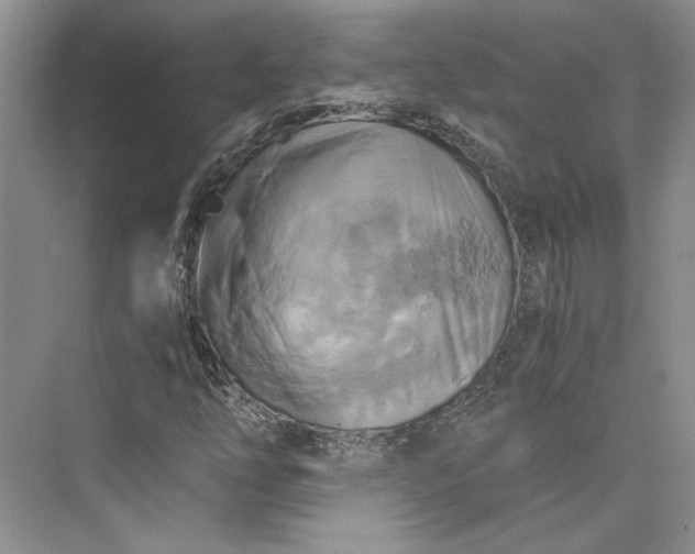 X0000075861254200609291539