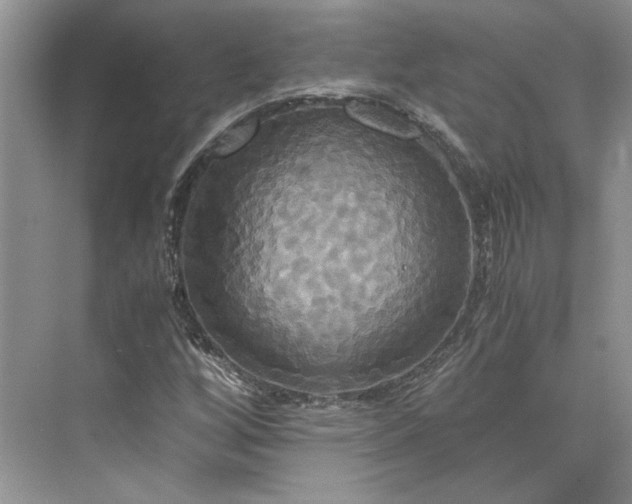 X0000075861256200609291539