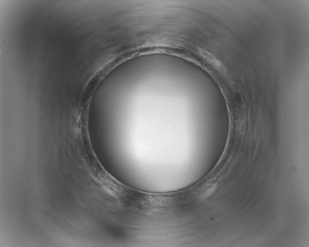 X0000075861258200609291539