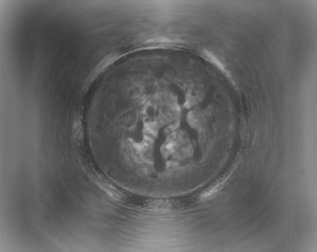 X0000075861259200609291539