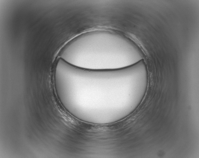 X0000075861260200609291539