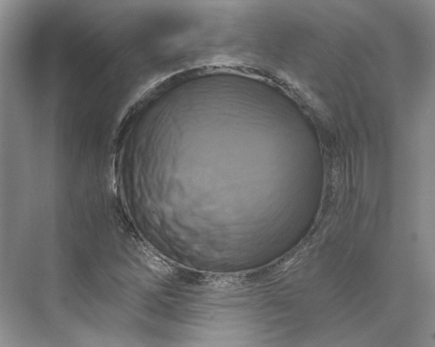 X0000075861262200609291539