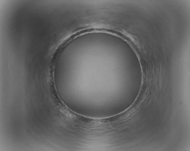 X0000075861263200609291539