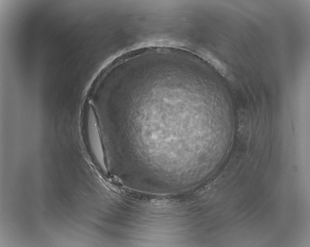 X0000075861264200609291539