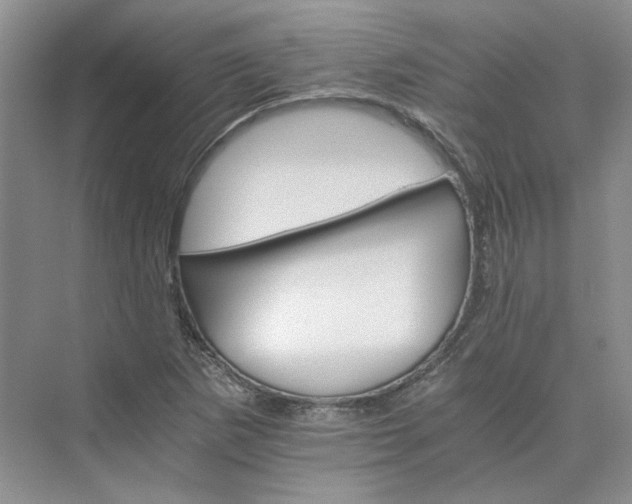 X0000075861265200609291539