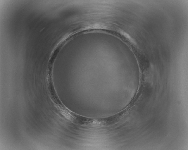 X0000075861266200609291539