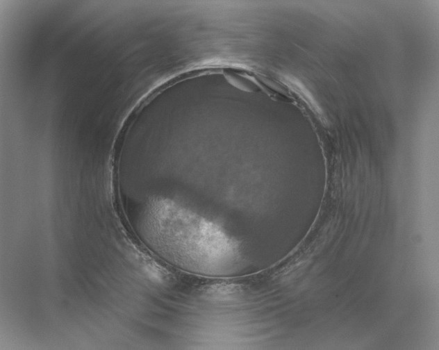 X0000075861268200609291538