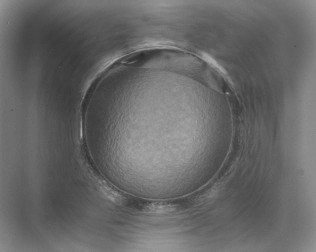 X0000075861269200609291538