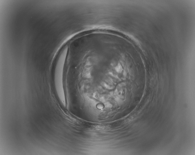 X0000075861271200609291538