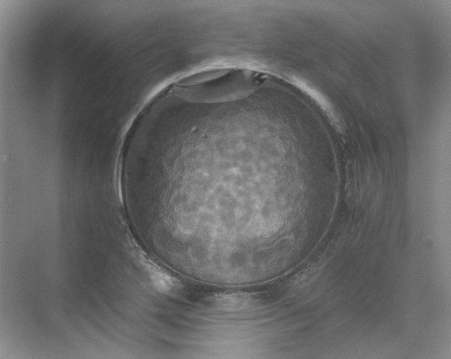 X0000075861272200609291538