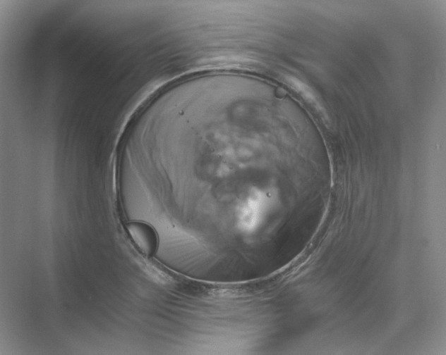 X0000075861275200609291538