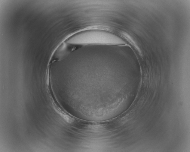 X0000075861276200609291538