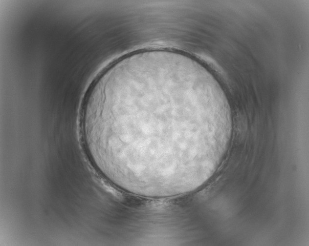 X0000075861278200609291538