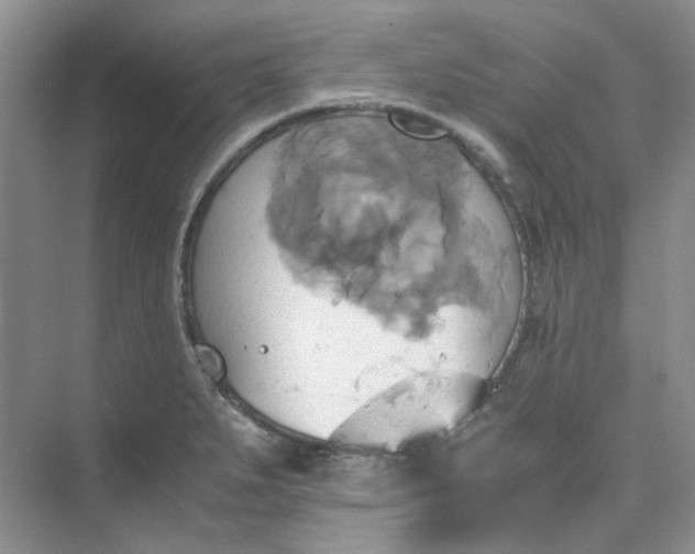 X0000075861279200609291538