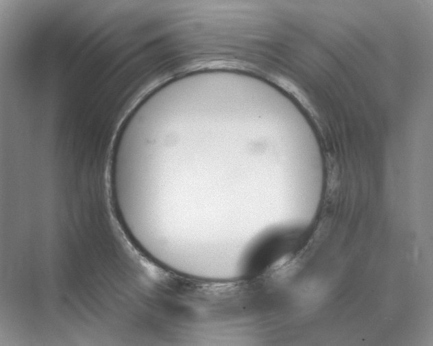 X0000075861282200609291538