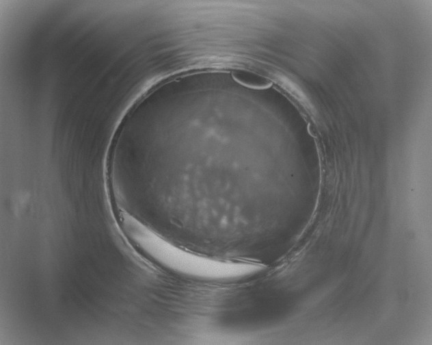 X0000075861283200609291538