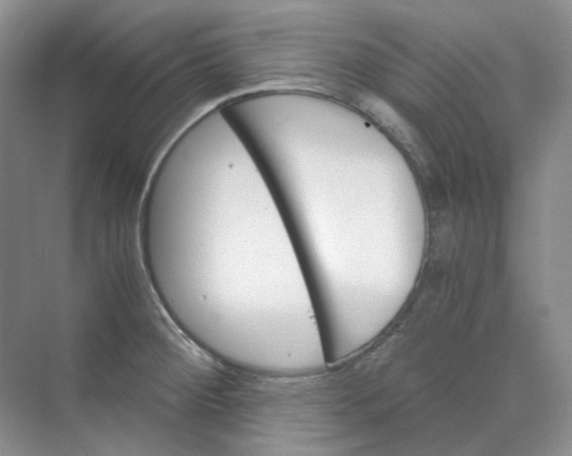 X0000075861284200609291538