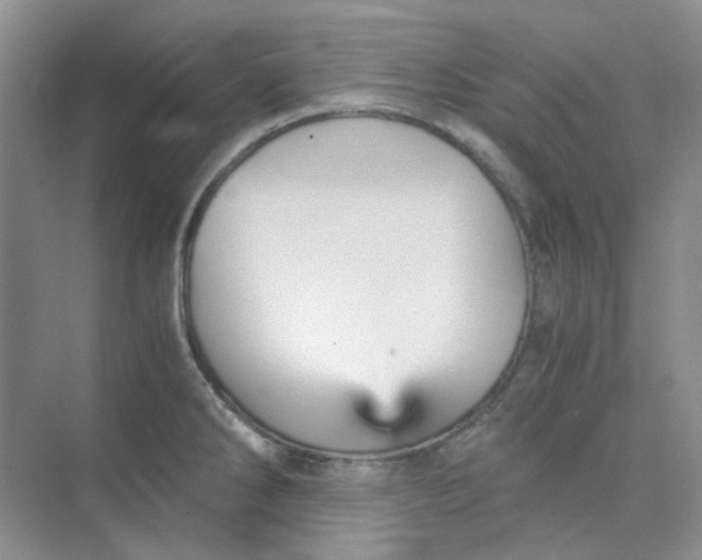 X0000075861286200609291538