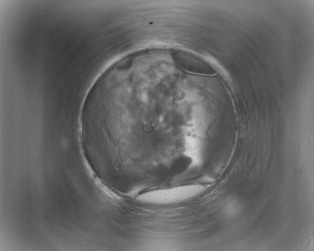 X0000075861287200609291538