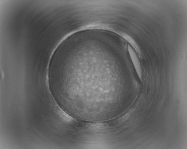 X0000075861288200609291538