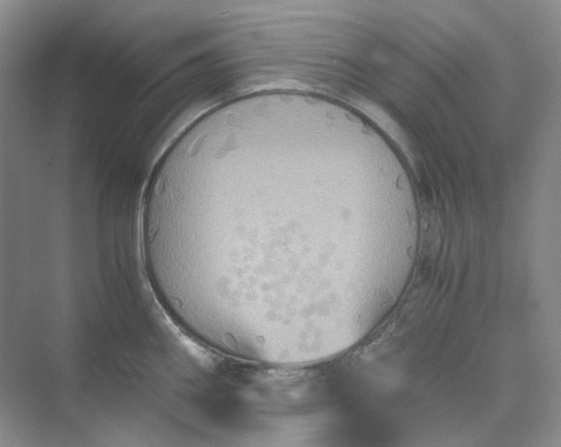 X0000075861290200609291538