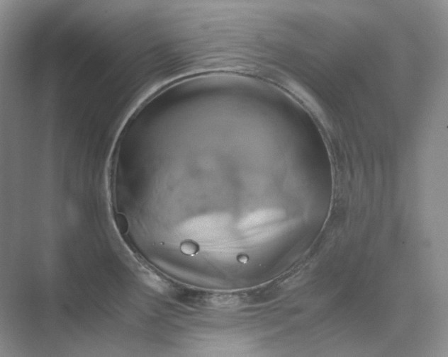 X0000075861291200609291538