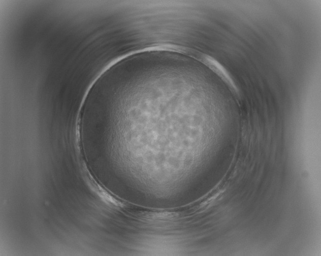 X0000075861292200609291538