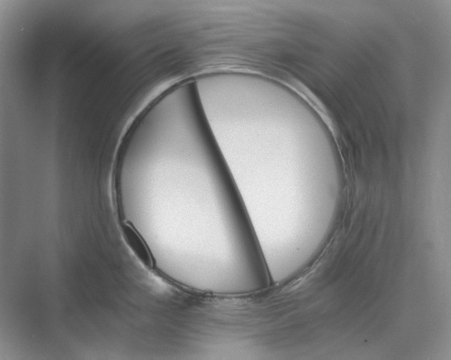 X0000075861293200609291538