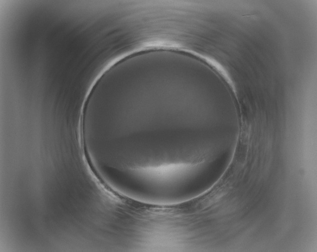 X0000075861295200609291538