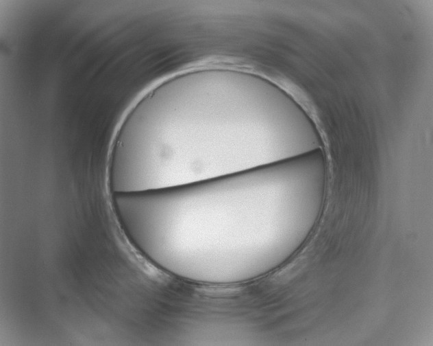 X0000075861296200609291538