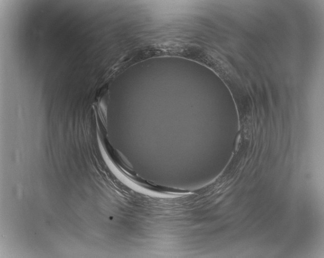 X0000075861298200609291537