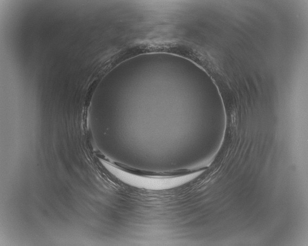 X0000075861300200609291537