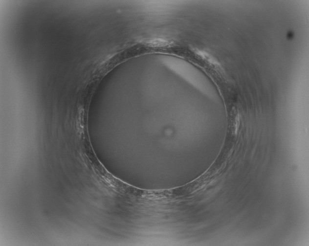 X0000075861301200609291537