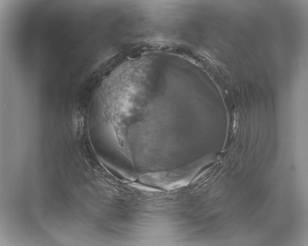 X0000075861302200609291537