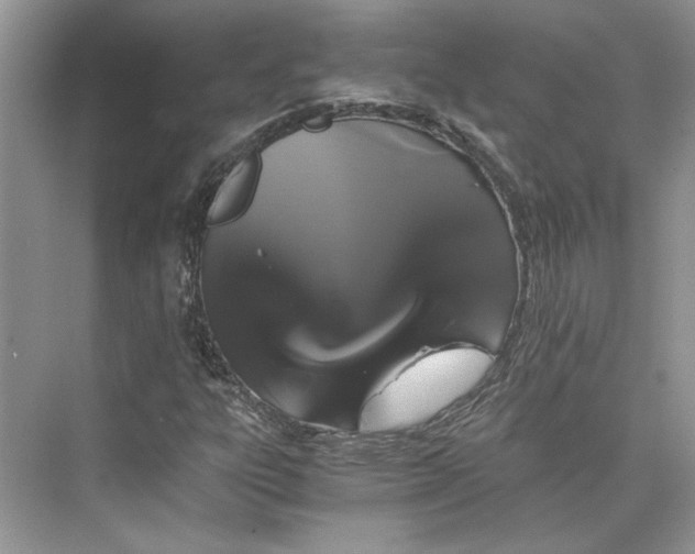 X0000075861303200609291537