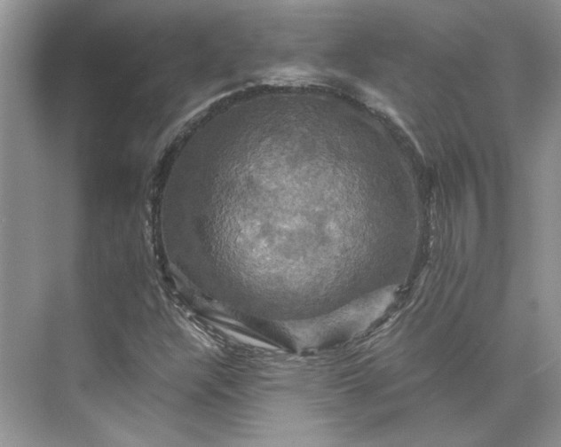 X0000075861304200609291537