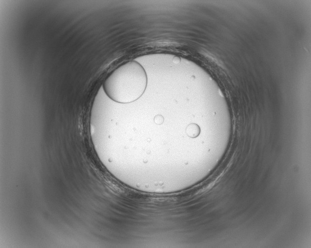 X0000075861305200609291537