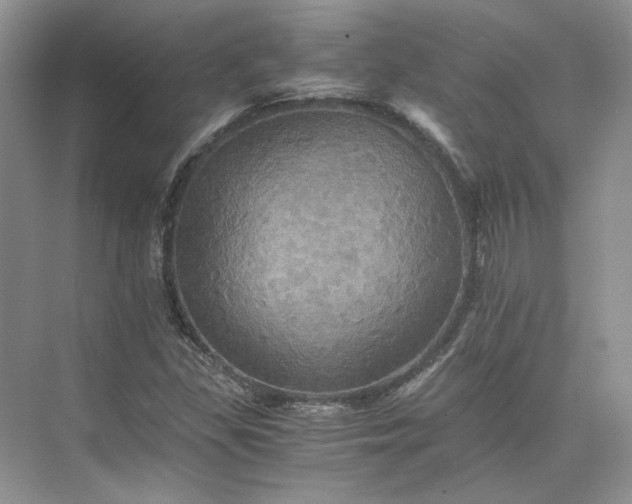 X0000075861309200609291537